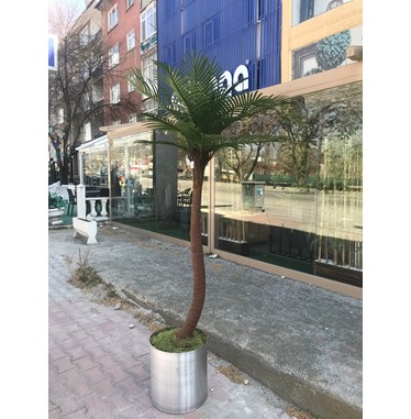 Dikey Bahçe 