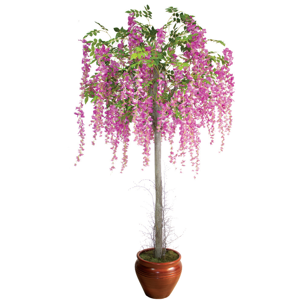 Dİkey Bahçe Sistemleri