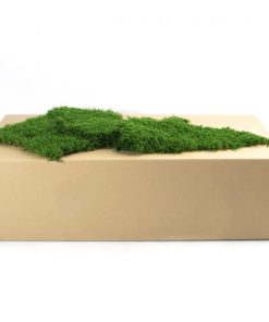 Dİkey Bahçe Sistemleri