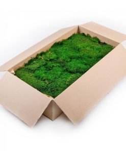 Dİkey Bahçe Sistemleri