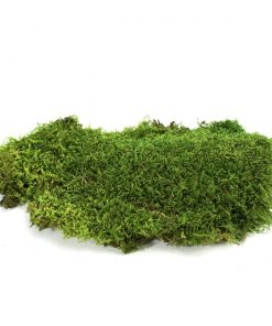 Dağ Kara Yosunu & Flat Moss 3 Kg