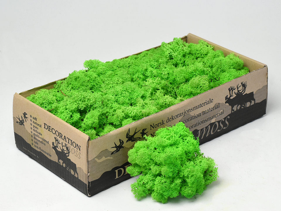 Reindeer Moss Light Grass 500 GR 1 Reindeer mOss