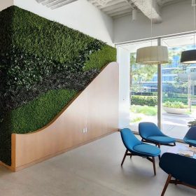 Dİkey Bahçe Sistemleri