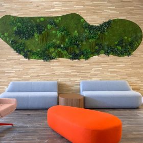 Dİkey Bahçe Sistemleri