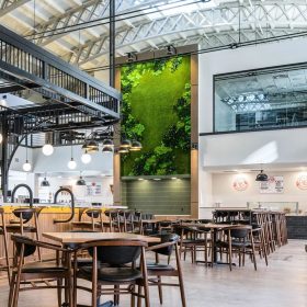 Dİkey Bahçe Sistemleri