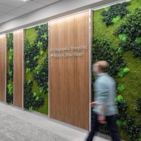 Dİkey Bahçe Sistemleri