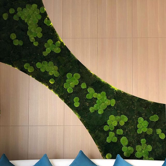 Dikey Bahçe 