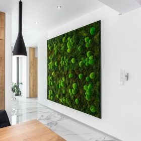 Dİkey Bahçe Sistemleri