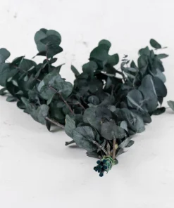 Dİkey Bahçe Sistemleri