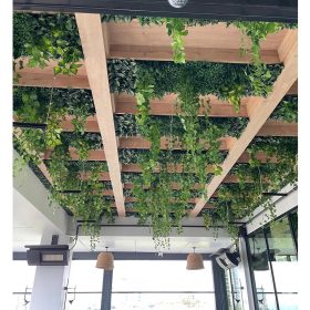 Dİkey Bahçe Sistemleri