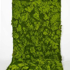 Dİkey Bahçe Sistemleri