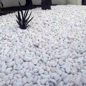 Dİkey Bahçe Sistemleri