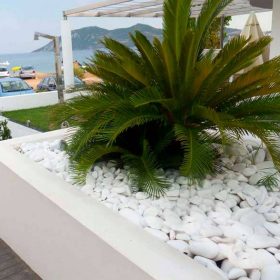 Dİkey Bahçe Sistemleri