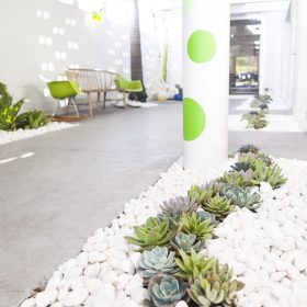 Dİkey Bahçe Sistemleri