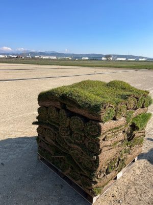 Dİkey Bahçe Sistemleri