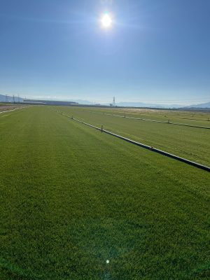 Dİkey Bahçe Sistemleri