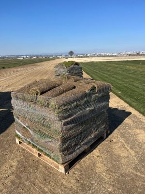 Dİkey Bahçe Sistemleri